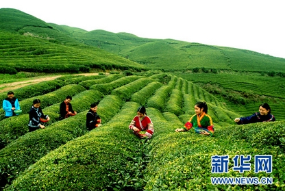 半岛·综合体育喝咖啡与喝茶对身体有利有弊应适量饮用(图1)