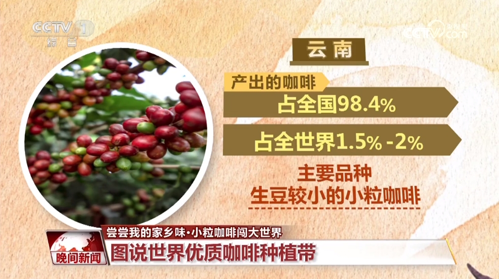半岛·综合体育入口【尝尝我的家乡味】云南：小粒咖啡闯大世界(图2)