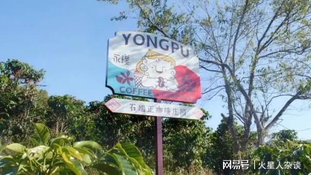 半岛·综合体育入口南京10元咖啡阿姨走红！背后的速溶咖啡市场雀巢不再是一家独大(图4)
