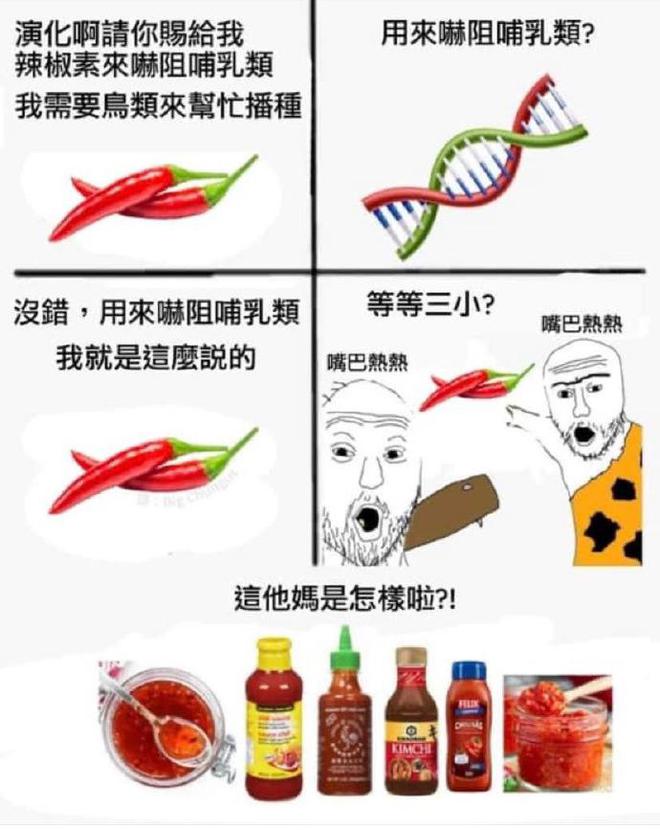 半岛·综合体育(中国)官方网站突然火起来的meme让我明白了人类为什么会成功进化(图5)