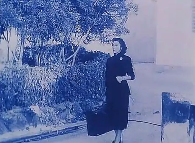 半岛·综合体育入口《花样年华2001》究竟是什么？(图2)